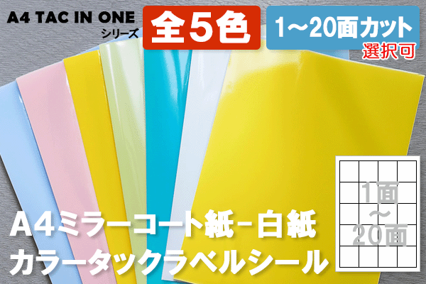 〔A4 TAC IN ONE〕A4ミラーコート-白紙タックシール‐全６色（1～20面）